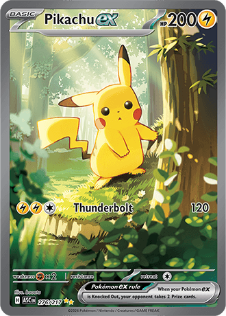 Holo Rare